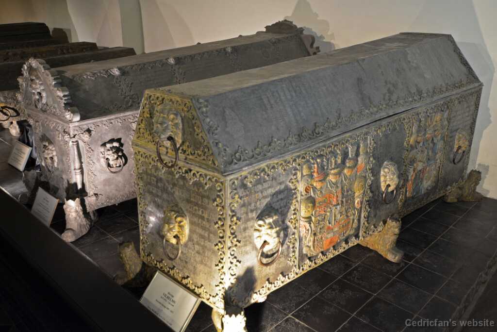 DSO_2408