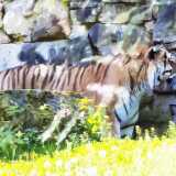 IMG_20240527_110410