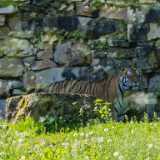 IMG_20240527_110430