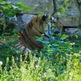 img_20240527_110253