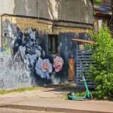 IMG_20240527_143723