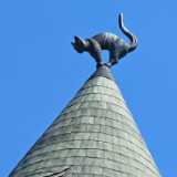 IMG_20240528_132546
