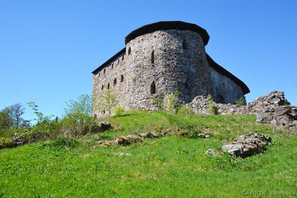 DSO_2146