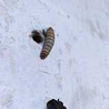 IMG_20240623_125130