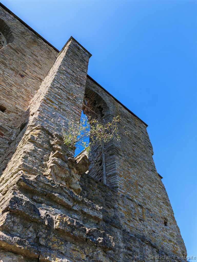 IMG_20240905_131310