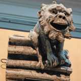 IMG_20241027_113037