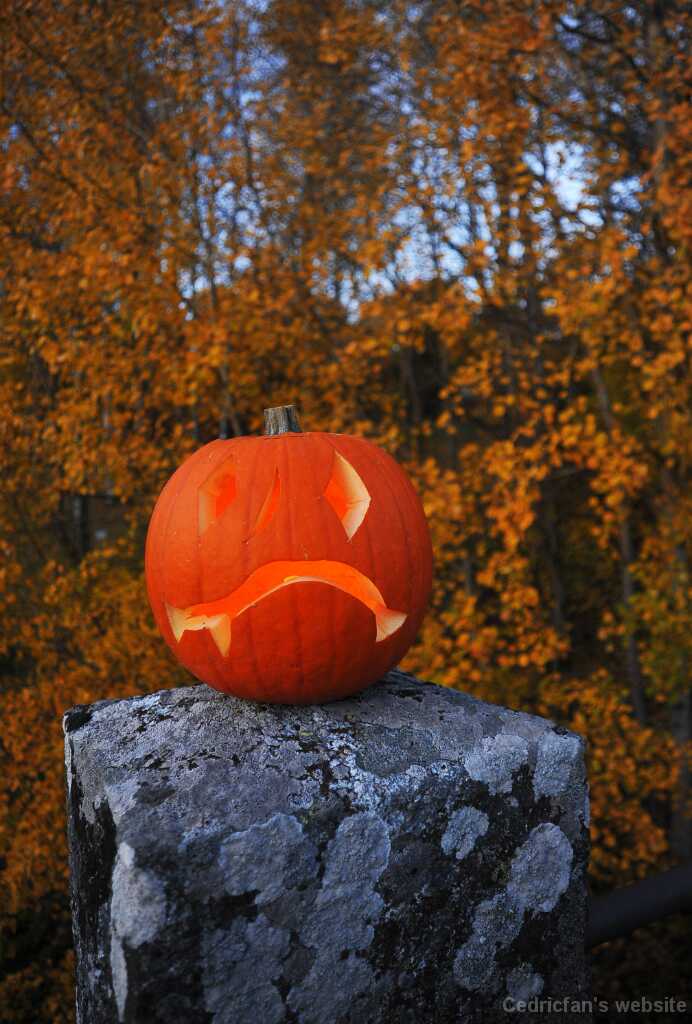 DSC_2365