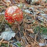 IMG_20241006_132819