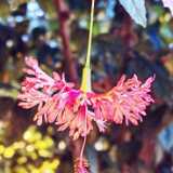 IMG_20241231_121352