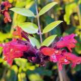 IMG_20241231_121437