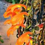 IMG_20241231_122520