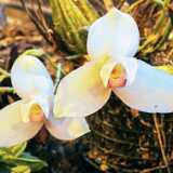 IMG_20241231_123048