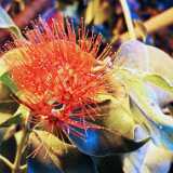 IMG_20241231_123140
