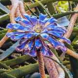 IMG_20241231_123856
