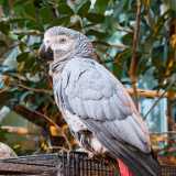 IMG_20241231_124852