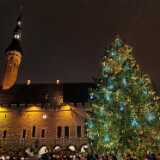 IMG_20241227_173220