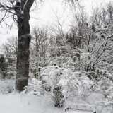 IMG_20240317_115148