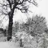 IMG_20240317_115157