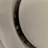IMG_20240505_091718