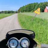 IMG_20240603_141624