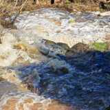 img_20240501_170925