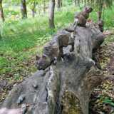 IMG_20240622_143145