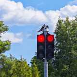 IMG_20240630_113219