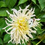 IMG_20240802_172906