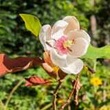 IMG_20240915_135045