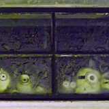 IMG_20250106_180023