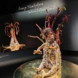 IMG_20250112_102822