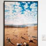 IMG_20250427_104658