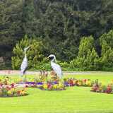 IMG_20250606_144956