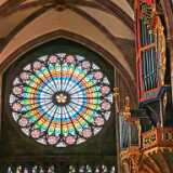 IMG_20250606_154311