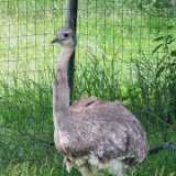 IMG_20250608_112302
