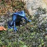 IMG_20250608_114040