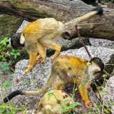 IMG_20250608_114540