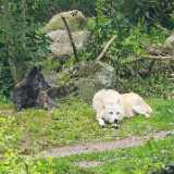 img_20250608_104313