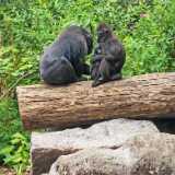 img_20250608_110546