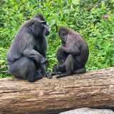 img_20250608_110558