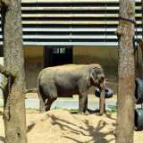 DSO_3291