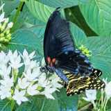 IMG_20250611_131646