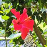 IMG_20250611_131659