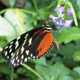 IMG_20250611_131730