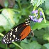 IMG_20250611_131742