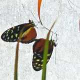 IMG_20250611_131905