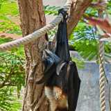 img_20250611_131527