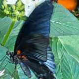 img_20250611_131614