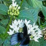 img_20250611_131643
