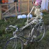 DSO_3809